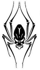 Bro Tattoo Spider