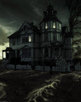 No Future Volume Two