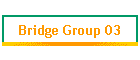 Bridge Group 03