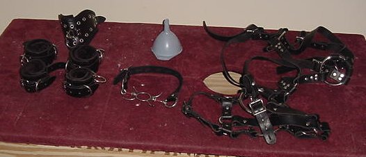 My Cum Sponge harness and related accessories...