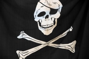 1389972 pirate flag 2