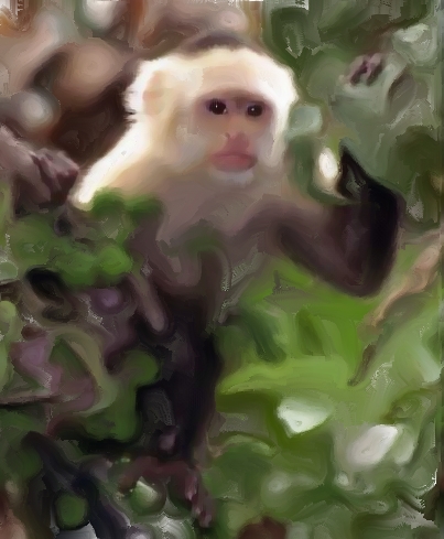 Image copyright Rod O'Steele &copy; 2009 No use without written permission