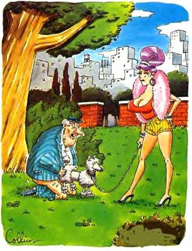 Please wait while picture loads