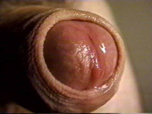 Please wait while picture loads