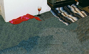 Porn with the Figures Removed