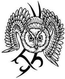 Owl symbol