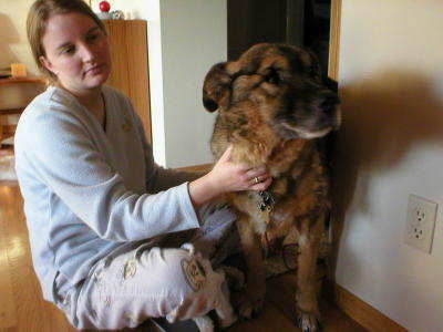 GermanShepherdWLady (24K)