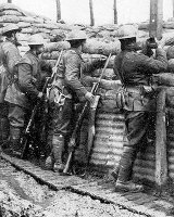 The Brickworks Lane Pals