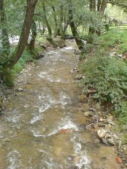 med e8712d513bb25869428628ce675b6d80