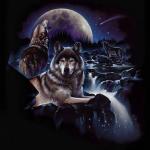 The Shadowdarke Series