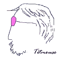 [Titmouse sketch]
