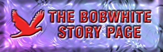 Stories Index and Contact Form