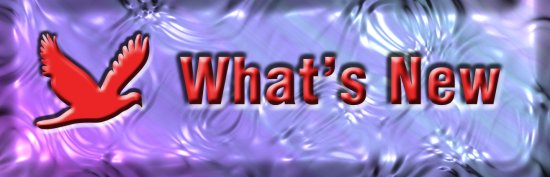 What's New?