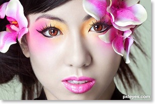 7122Geisha-4d000e29dc8b0-1-